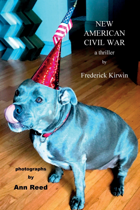 New American Civil War