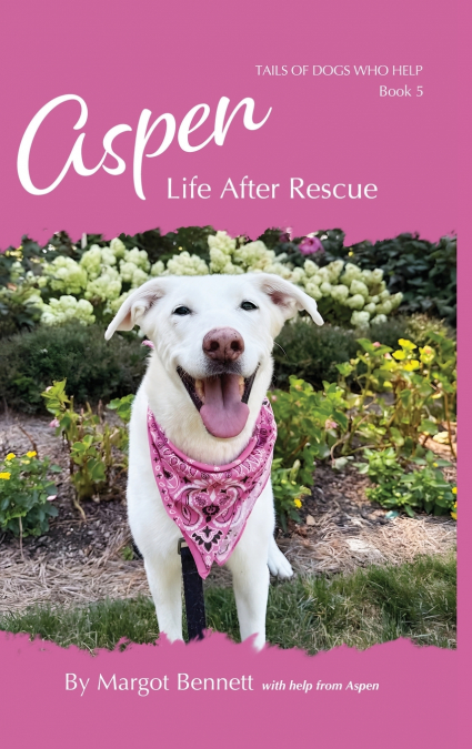 Aspen, Life After Rescue