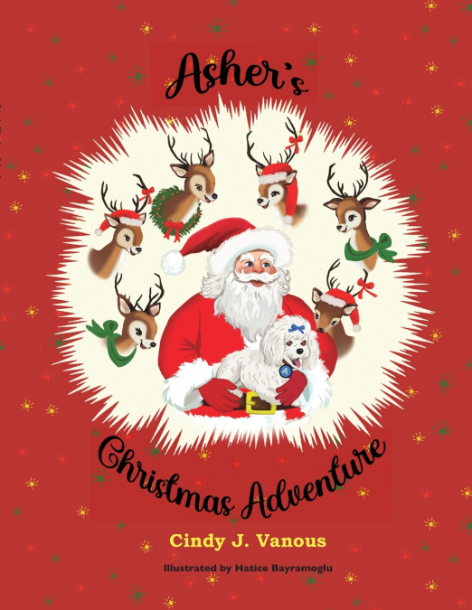 Asher’s Christmas Adventure