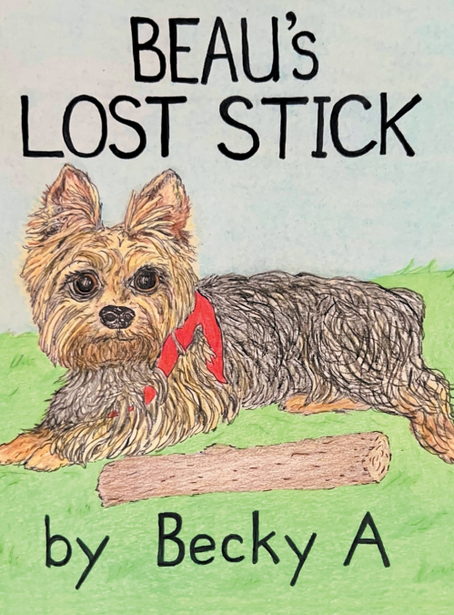 Beau’s Lost Stick