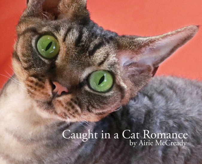 Caught in a Cat Romance