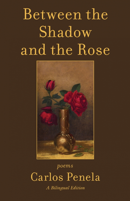 Between the  Shadow and the Rose.  Selected poems 2001-2024