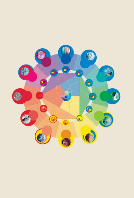 The Neurobiology of Connection