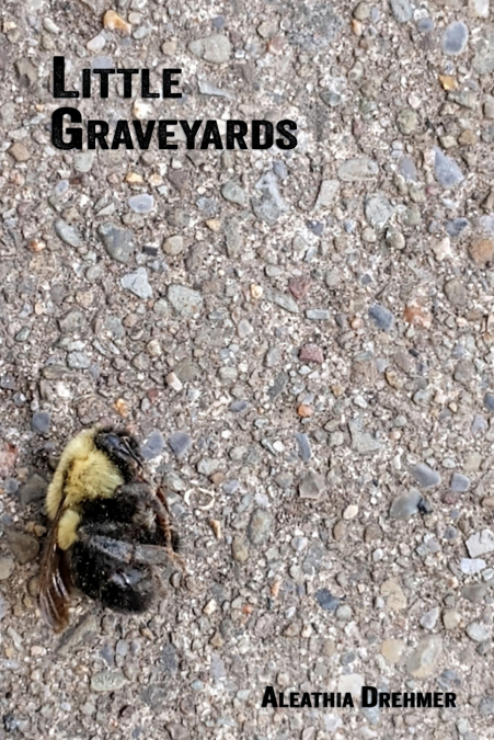 Little Graveyards