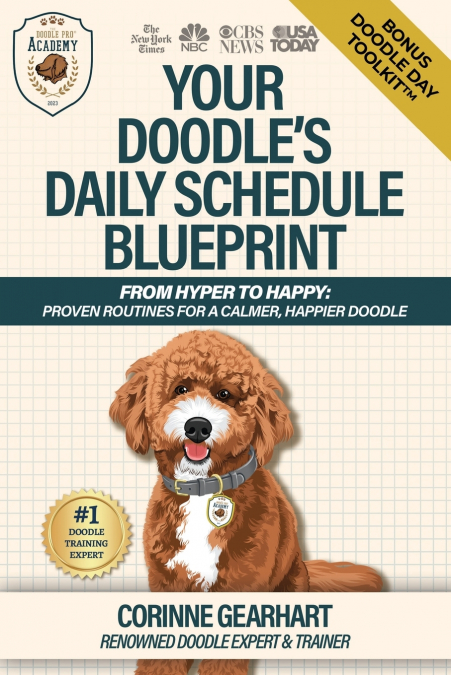 Your Doodle’s Daily Schedule Blueprint