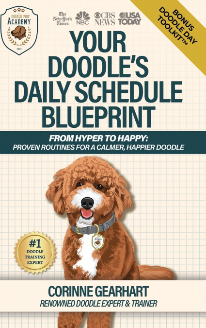 Your Doodle’s Daily Schedule Blueprint