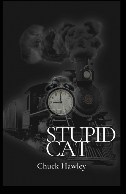 Stupid Cat