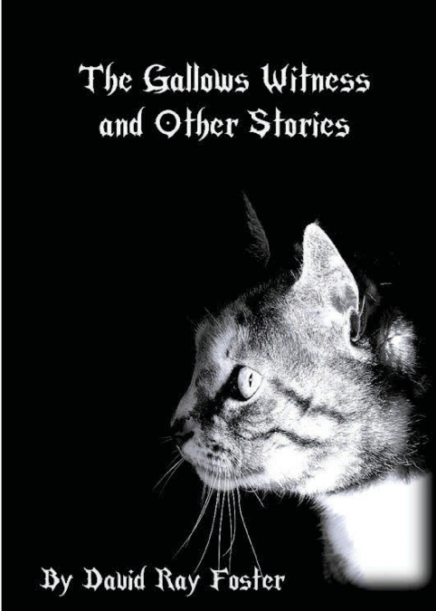The Gallows Witness and Other Stories