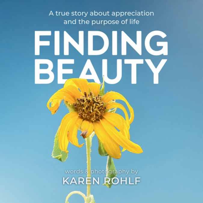 Finding Beauty