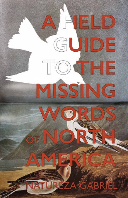 A Field Guide to the Missing Words of North America