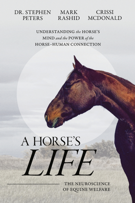 A Horse’s Life