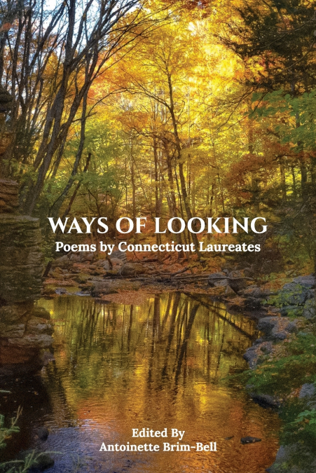 Ways of Looking