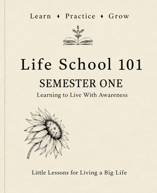 Life School 101