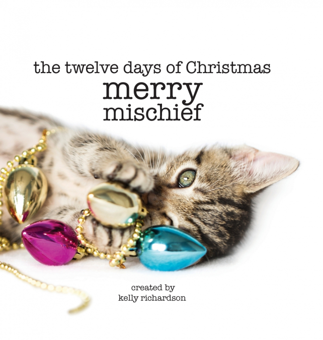 The Twelve Days of Christmas - Merry Mischief