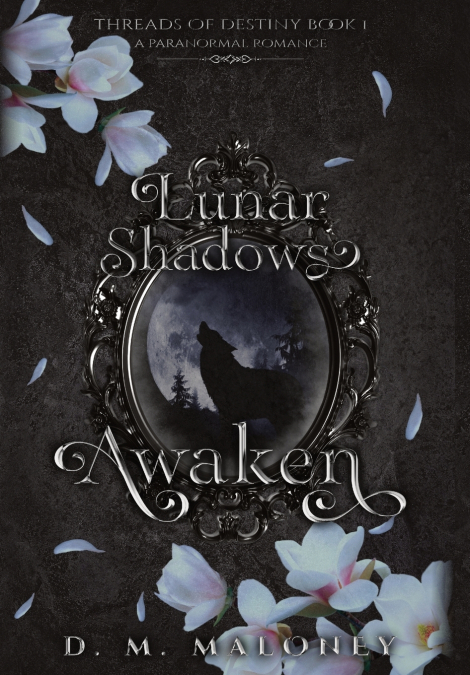 Lunar Shadows