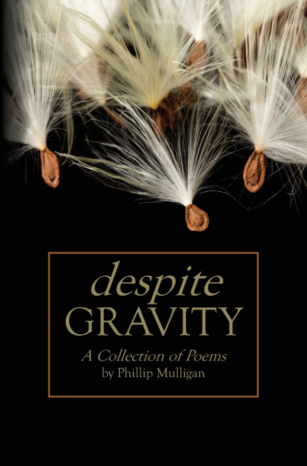 Despite Gravity