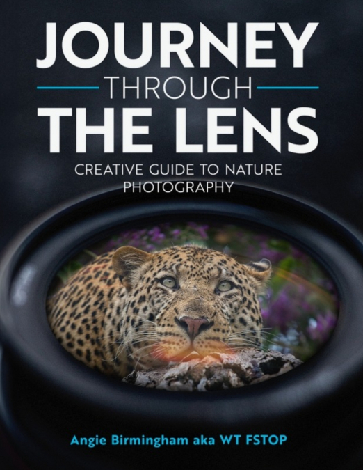 Journey Through The Lens