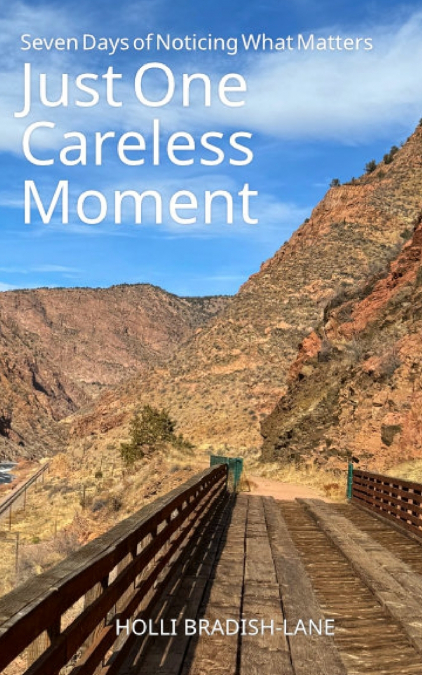 Just One Careless Moment