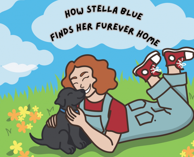 How Stella Blue Finds Her Furever Home