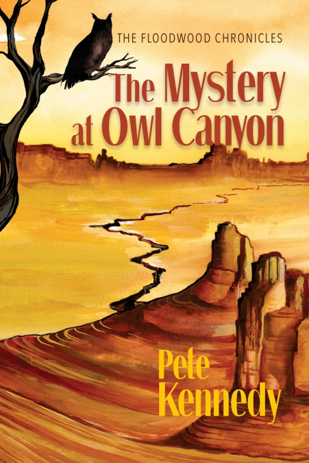 The Mystery at Owl Canyon