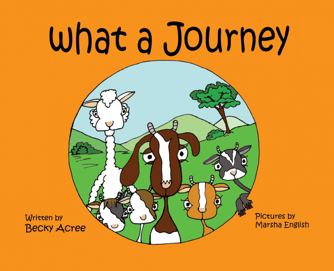 What a Journey