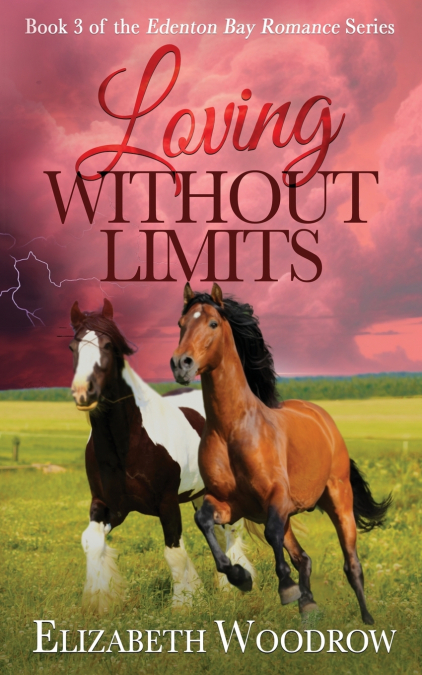 Loving Without Limits (Edenton Bay Romance Series, Book 3)