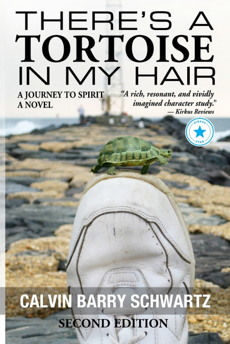 There’s a Tortoise in My Hair - Inspirational Memoir, Metaphysical & Visionary Literary Fiction, literary fiction about consciousness and spiritual growth fiction based on real events
