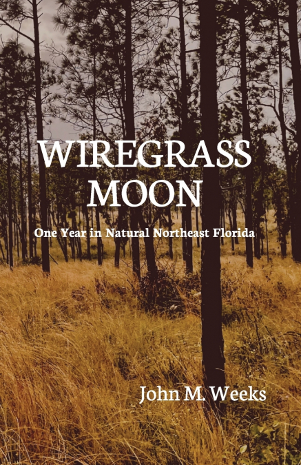 Wiregrass Moon