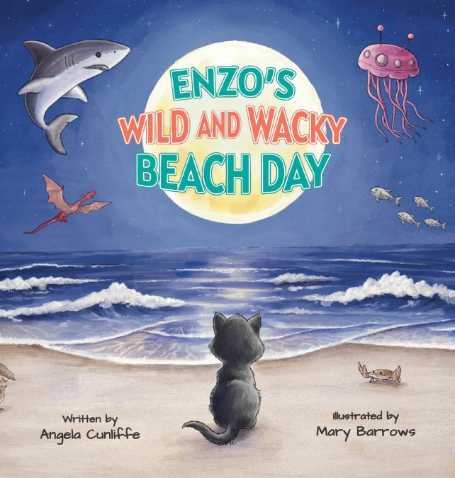 Enzo’s Wild and Wacky Beach Day